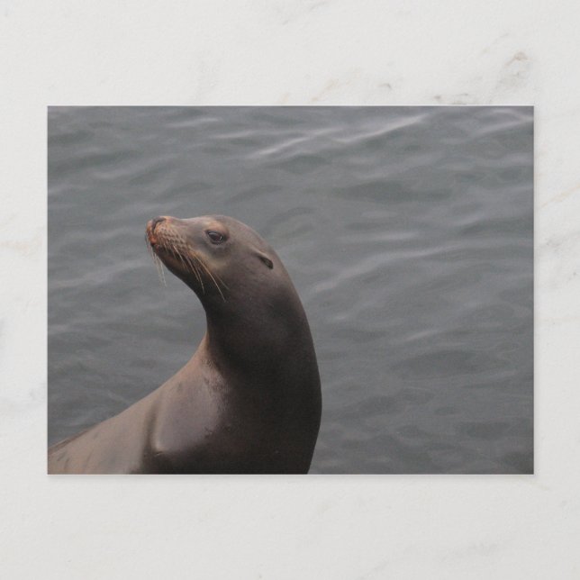 Postal Sello - Montery Bay CA (Anverso)