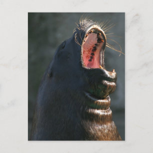 Postal Sello Yawning