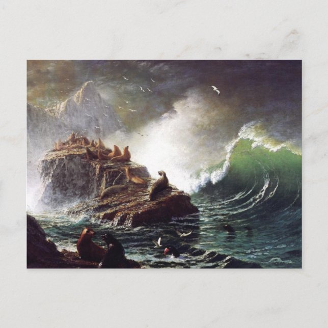 Postal Sellos en las rocas, islas Farallón - Bierstadt (Anverso)