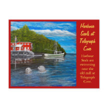 Sellos en Telegraph Cove, BC Canadá.