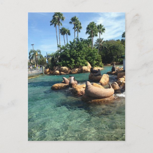 Postal Sellos y leones marinos (Anverso)