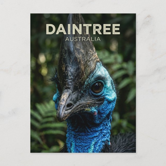Postal Selva Daintree Australia (Anverso)