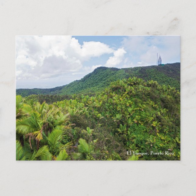 Postal selva de El Yunque y torre de comunicaciones (Anverso)