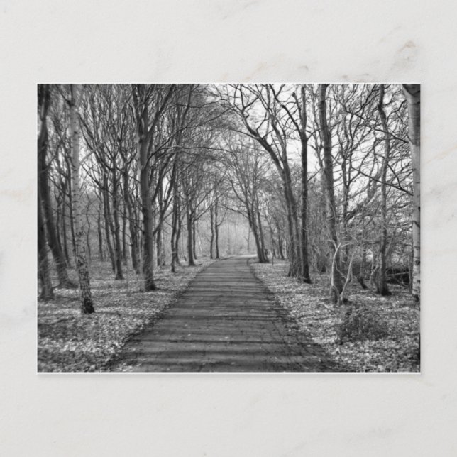 Postal Selva negra/blanca (Anverso)