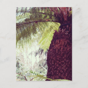 Postal Selva tropical de helechos