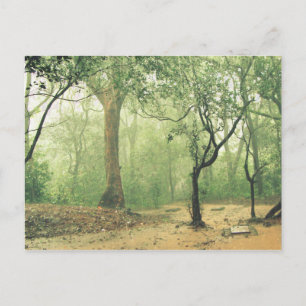 Postal Selva Tropical de los Ghats Occidentales India