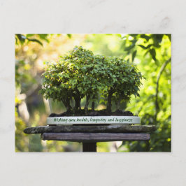 Postal Selva verde en miniatura Bonsai Pot Hojas Pedestal