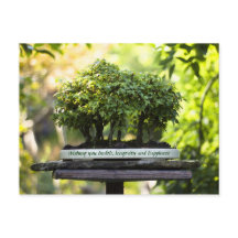 Selva verde en miniatura Bonsai Pot Hojas Pedestal