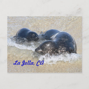 Postal Selvas de bebé en La Jolla