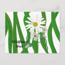 Postal Semana de la Flor Silvestre Margarita