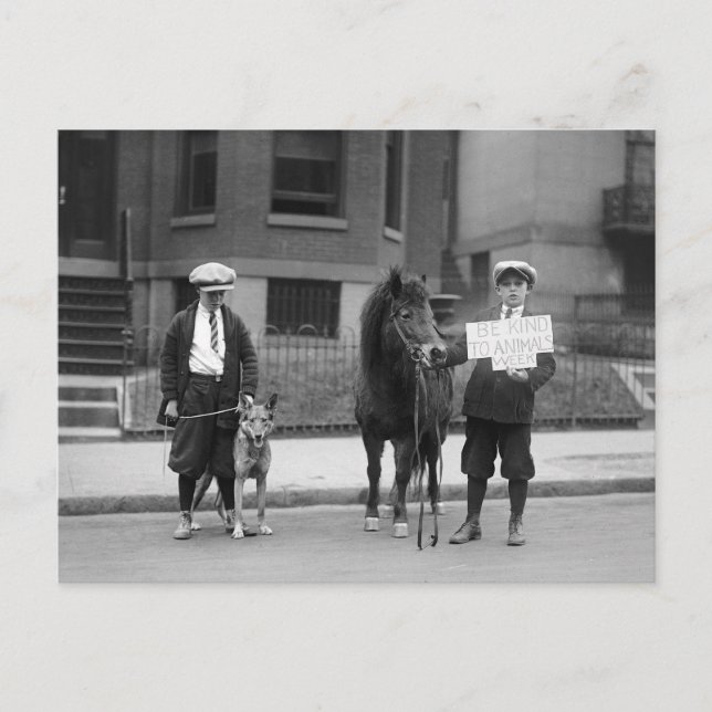 Postal Semana de ser amable con los animales, 1923 (Anverso)