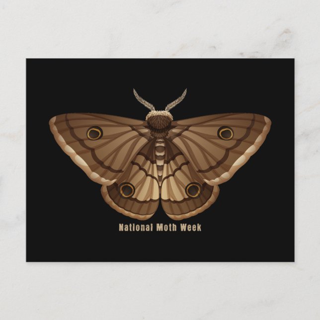 Postal Semana Nacional de la Polilla (Anverso)