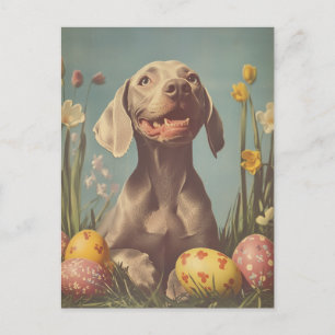 Postal Semana Santa de Weimaraner Vintage