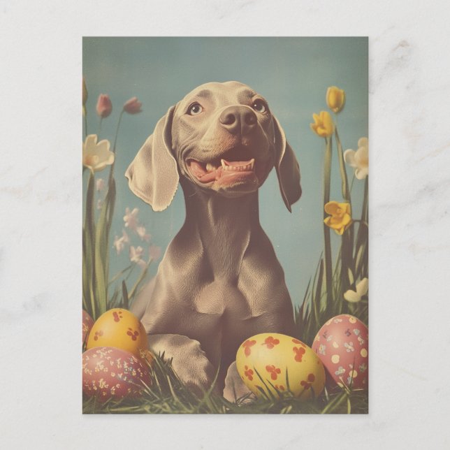 Postal Semana Santa de Weimaraner Vintage (Anverso)