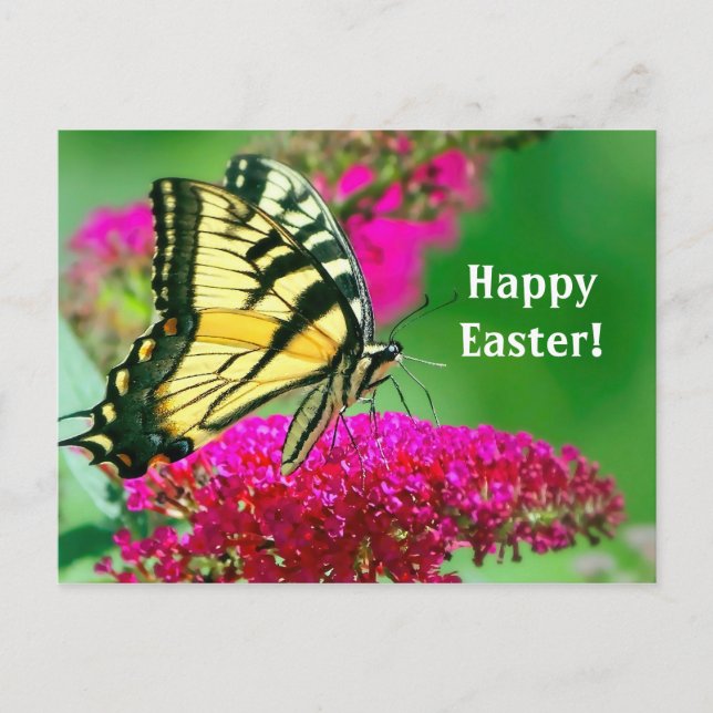 Postal Semana Santa Flora Floral de la Mariposa Trasera A (Anverso)