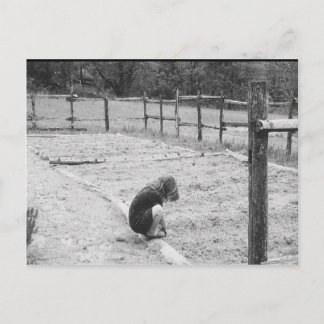 Postal Sembrando las semillas del amor