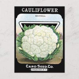 Postal Semilla de coliflor Paquetes Jardín Vegetable Blan