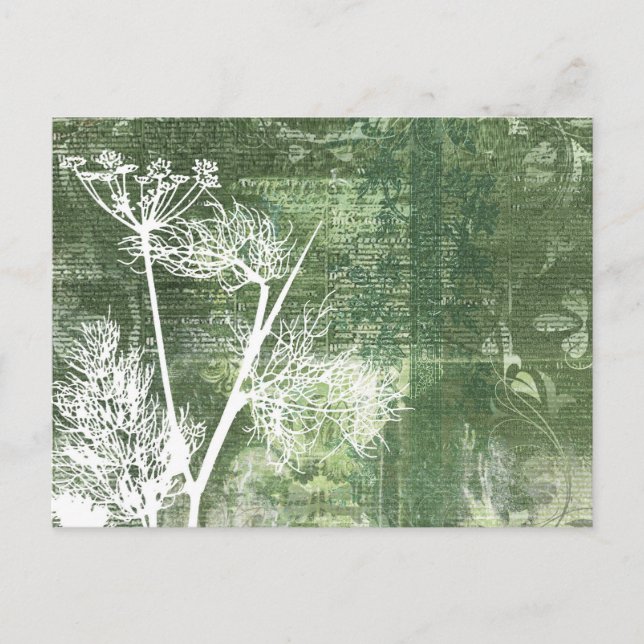 Postal Semillas de Dandelion verde y blanco bonito (Anverso)