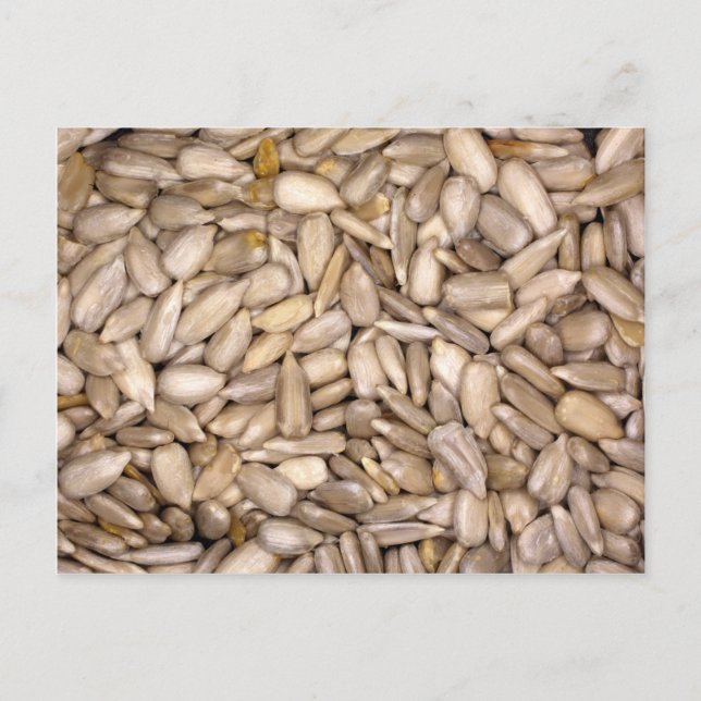 Postal Semillas de girasol (Anverso)