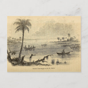 Postal Seminoles en el río St. Johns