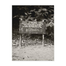 Señal de advertencia del árbol de punzonado