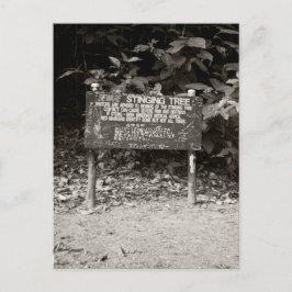 Postal Señal de advertencia del árbol de punzonado