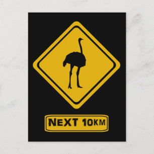 Postal señal de carretera de avestruz