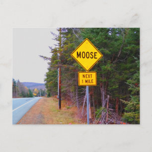 Postal Señal de cruce de alces, New Hampshire