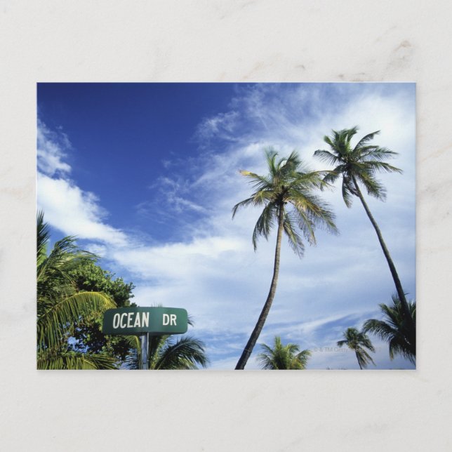 Postal Señal de ruta de Ocean Drive, South Beach, Miami,  (Anverso)