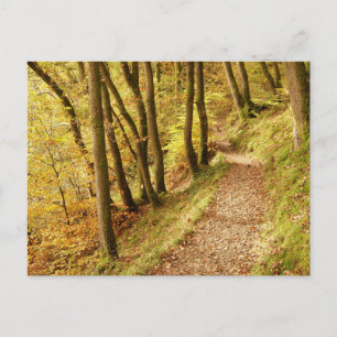 Postal Senda del bosque de otoño