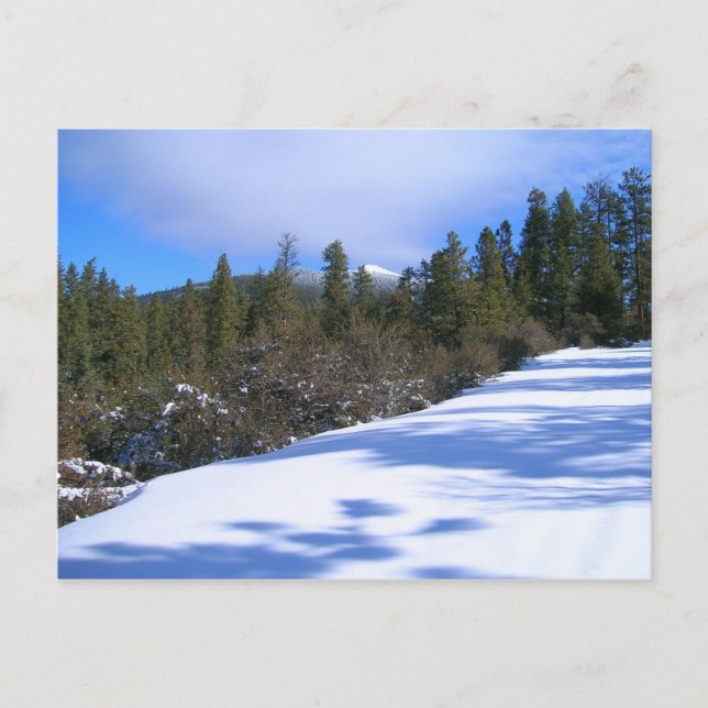 Postal Senderismo a Hager Mountain Fire Lookout (Anverso)