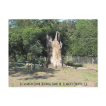 Senderismo en Pleasanton, CA 6