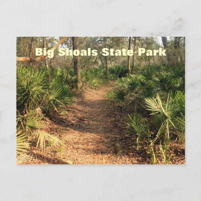 Postal Senderismo, Parque Estatal Big Shoals, Florida (Anverso)