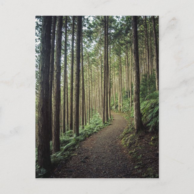 Postal Senderismo por las montañas | Wakayama, Japón (Anverso)