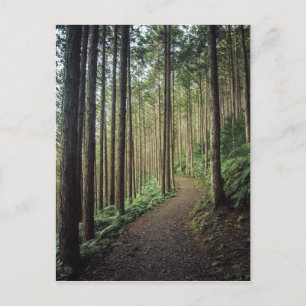 Postal Senderismo por las montañas   Wakayama, Japón