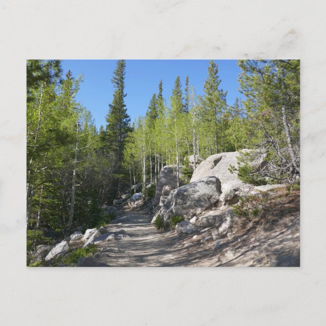 Postal Sendero a Alberta Falls (Anverso)