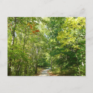 Postal Sendero Arbolado Centenario I Ellicott City Nature
