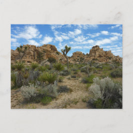 Postal Sendero Barker Dam Loop en el Parque Nacional Josh