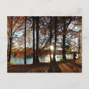 Postal Sendero de Carretera del Lago Ladybird - Austin, T