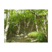 Sendero de descubrimiento de Frazier en Shenandoah