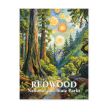 Sendero de excursión del Parque Nacional Redwood d
