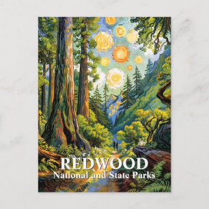Postal Sendero de excursión del Parque Nacional Redwood d