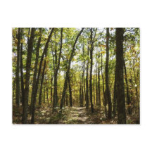 Sendero de los Apalaches en octubre en Shenandoah