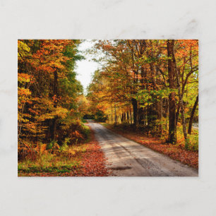 Postal Sendero de madera con follaje de otoño