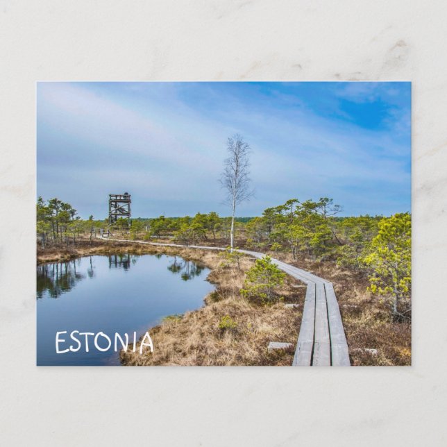 Postal Sendero de madera sobre pantano en Estonia (Anverso)