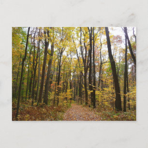 Postal Sendero de otoño y hojas doradas en Laurel Hill Pa