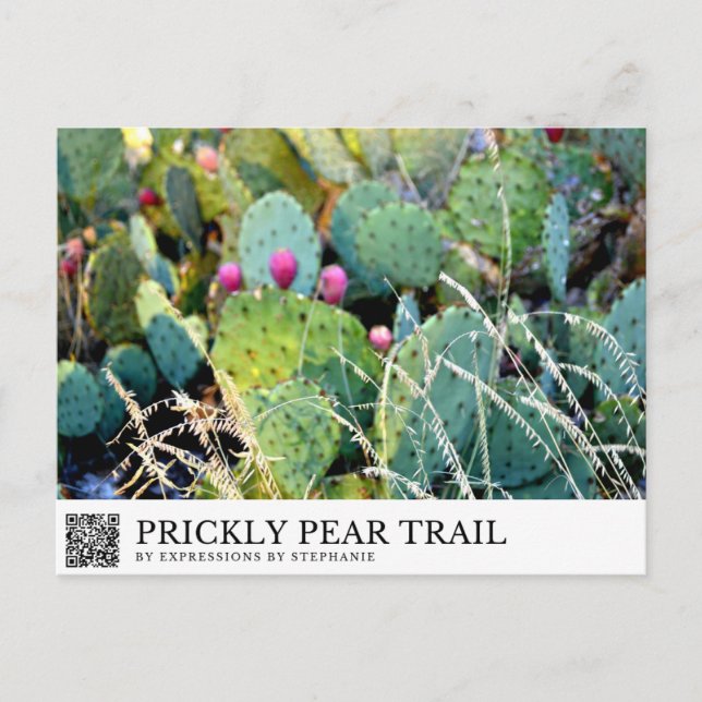 Postal Sendero de Prickly Pear (Anverso)