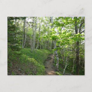Postal Sendero del bosque en el Parque Nacional Acadia