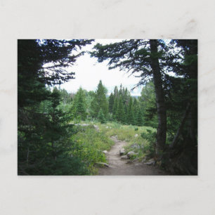 Postal Sendero Grand Teton