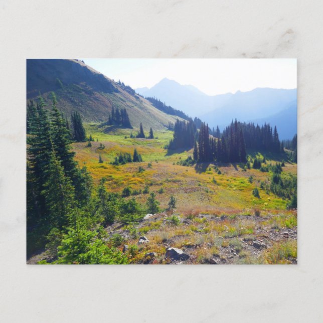 Postal Sendero Hurricane Ridge (Anverso)